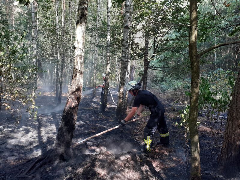 F Wald 1 - geringe Ausbreitungsgefahr F Wald 1 - geringe Ausbreitungsgefahr