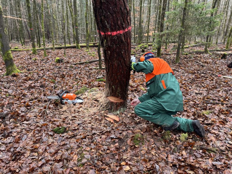 2026 01 17 motorkettensaegenausbildung 1