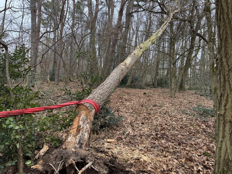 2026 01 17 motorkettensaegenausbildung 2