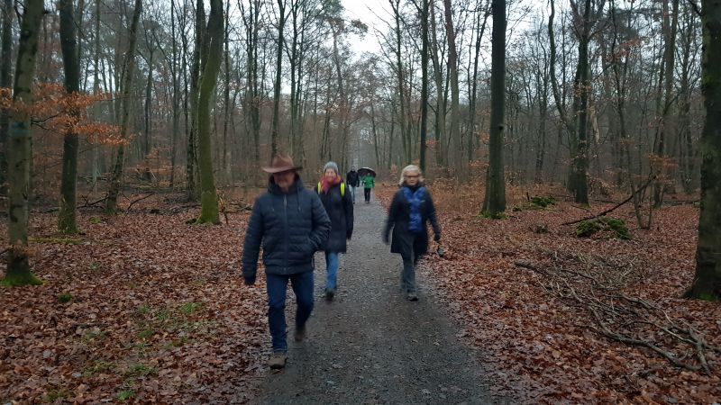 Winterwanderung durch den Großkrotzenburger Wald