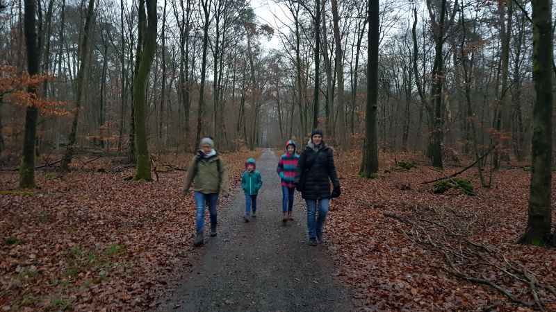 Winterwanderung durch den Großkrotzenburger Wald